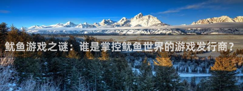 db电竞官网解绑银行卡：鱿鱼游戏之谜：谁是掌控鱿鱼世界的游戏发行商？