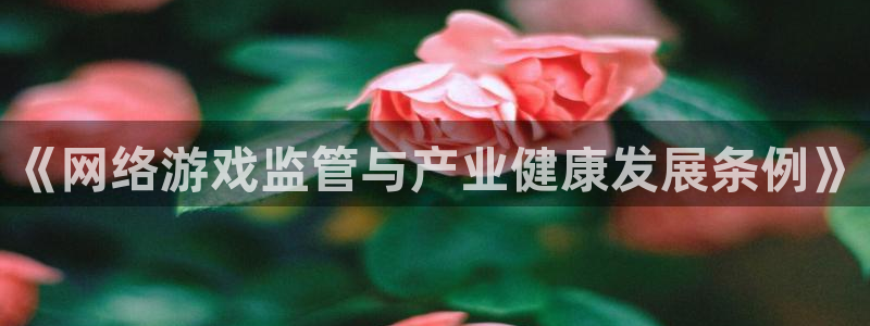 db电竞官网骗局是真的吗