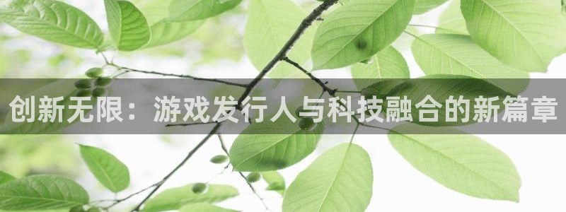 db电竞官网注册平台是什么意思：创新无限：游戏发行人与科技融合的新篇章