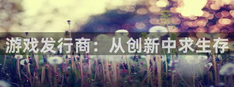 陕西db电竞子文化公司有什么游戏：游戏发行商：从创新中求生存
