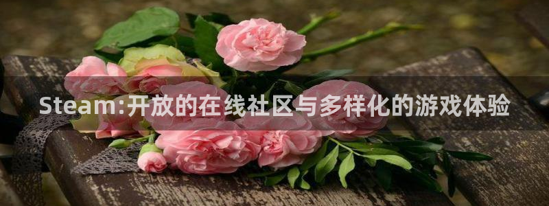 db电竞官网代理开号怎么开：Steam:开放的在线社区与多样化的游戏体验
