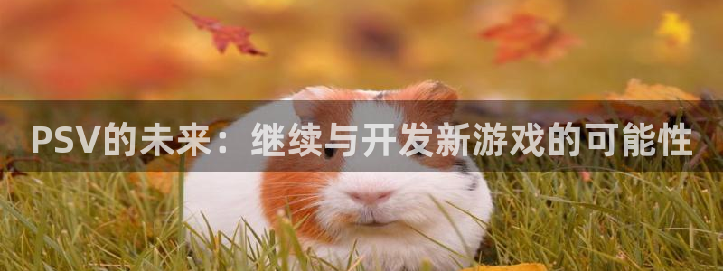 db电竞官网登录注册：PSV的未来：继续与开发新游戏的可能性