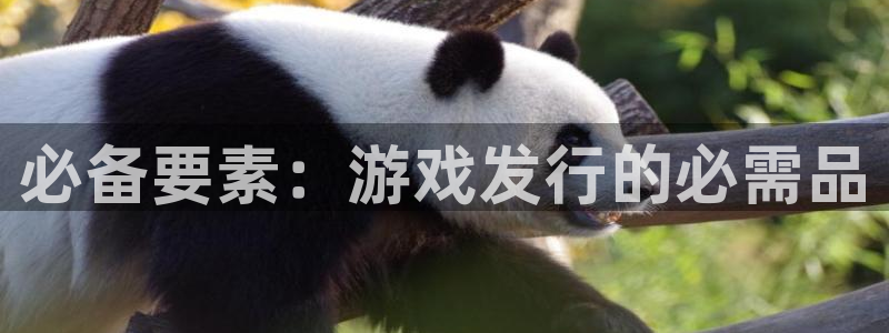 db电竞集团有限公司：必备要素：游戏发行的必需品