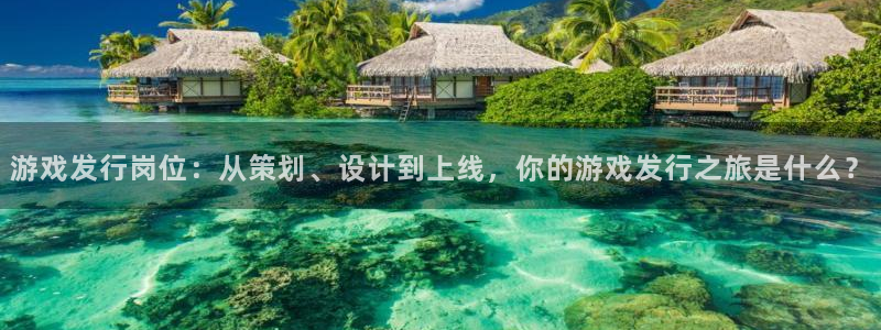 db电竞子教育科技(江门)有限公司：游戏发行岗位：从策划、设计到上线，你的游戏发行之旅是什么？