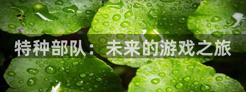 db电竞子经理人：特种部队：未来的游戏之旅
