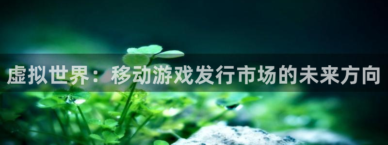 db电竞官网客服服务怎么样