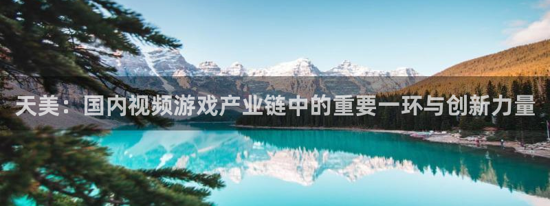 db电竞官网登录注册账号安全吗：天美：国内视频游戏产业链中的重要一环与创新力量