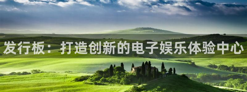 db电竞啤酒多少钱一箱：发行板：打造创新的电子娱乐体验中心