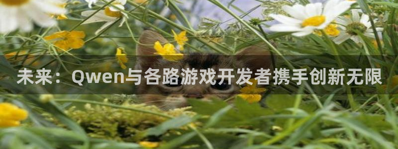 db电竞官网代理注册：未来：Qwen与各路游戏开发者携手创新无限