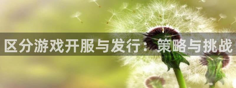 db电竞防水是几线品牌：区分游戏开服与发行：策略与挑战
