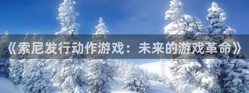 db电竞官网官网注册账号怎么注册：《索尼发行动作游戏：未来的游戏革命》