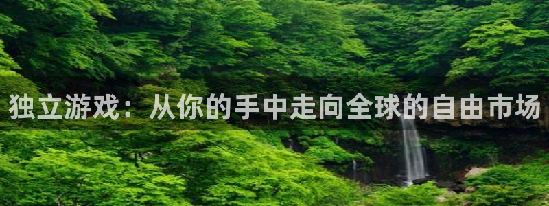 长沙db电竞子电子商务有限公司：独立游戏：从你的手中走向全球的自由市场