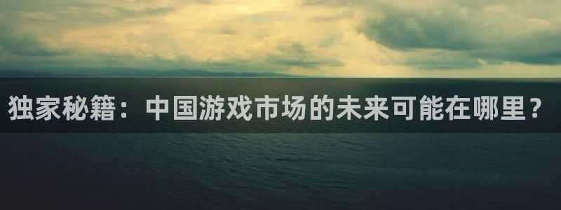 陕西db电竞子文化创意干啥的：独家秘籍：中国游戏市场的未来可能在哪里？