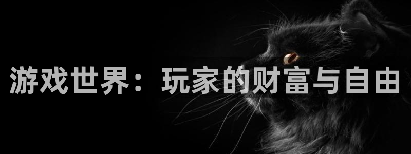 db电竞子经理人一共出了多少本