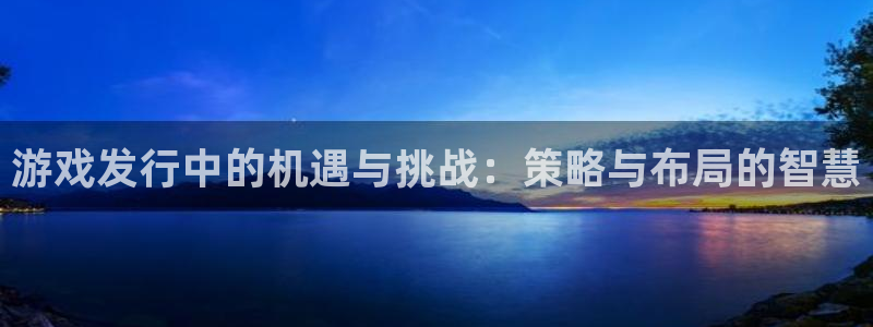 db电竞官网登录注册账号安全吗：游戏发行中的机遇与挑战：策略与布局的智慧