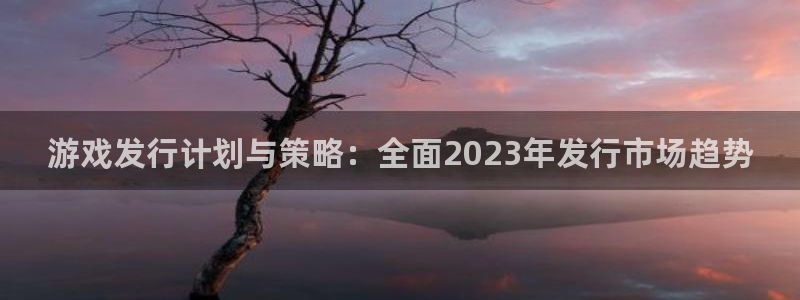 db电竞官网注册登录失败：游戏发行计划与策略：全面2023年发行市场趋势