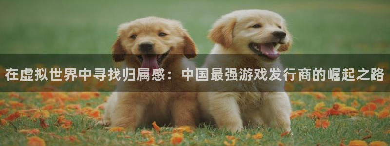 db电竞官网平台代理开号流程