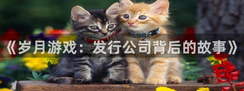 广州db电竞网络科技有限公司
