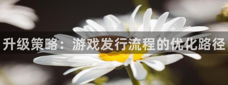 db电竞官网平台合法吗