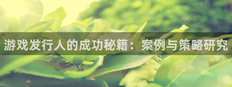 db电竞子怎么样