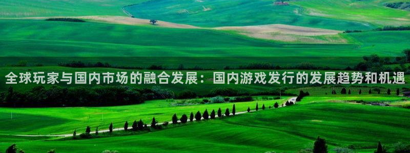 db电竞酒庄：全球玩家与国内市场的融合发展：国内游戏发行的发展趋势和机遇