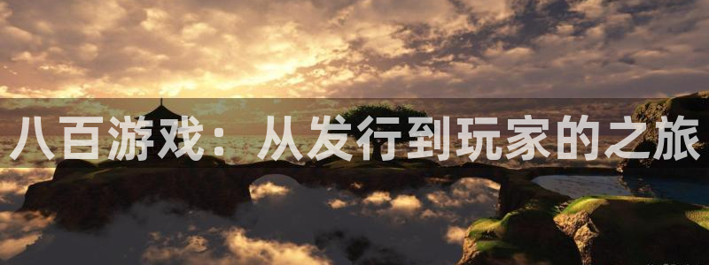 db电竞官网注册平台怎么样啊：八百游戏：从发行到玩家的之旅