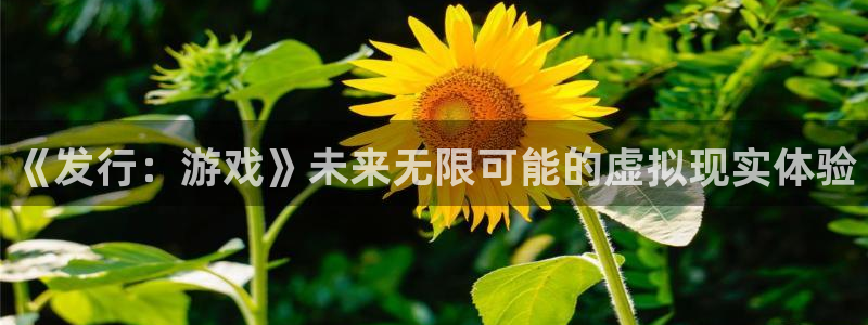 db电竞官网注册平台是什么：《发行：游戏》未来无限可能的虚拟现实体验