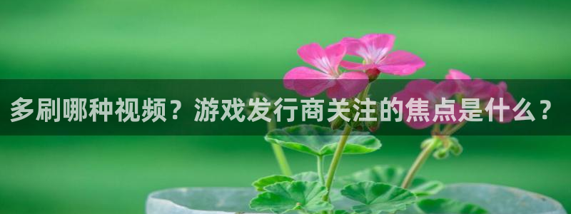 db电竞官网登录注册不了怎么办