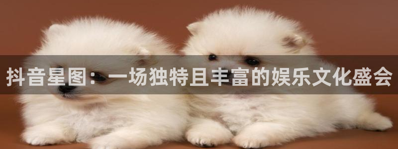 db电竞运动装有哪些品牌