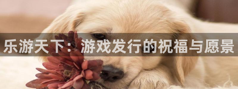 db电竞技术有限公司怎么样